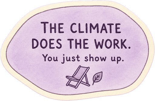 The climate does the work. You just show up.