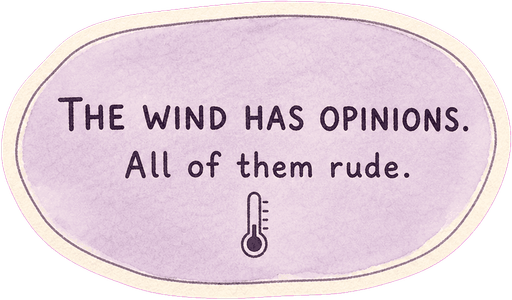 The wind has opinions. All of them rude.