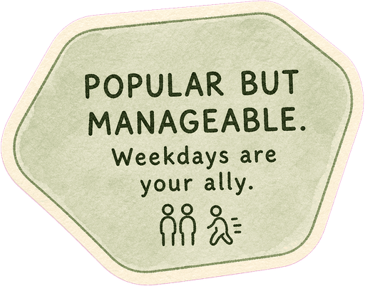 Popular but manageable. Weekdays are your ally.