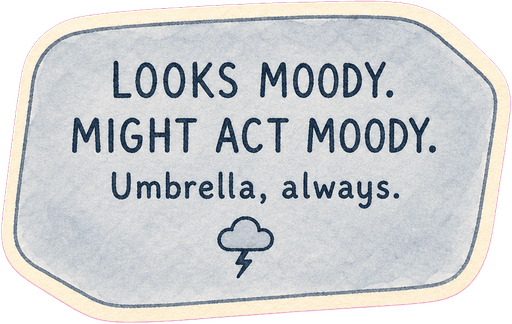 Looks moody. Might act moody. Umbrella, always.